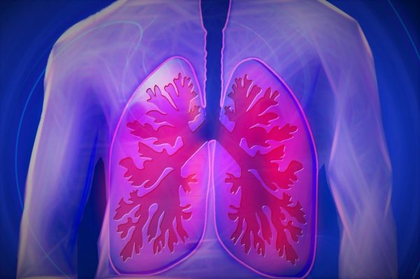 cara menjaga kesehatan paru paru